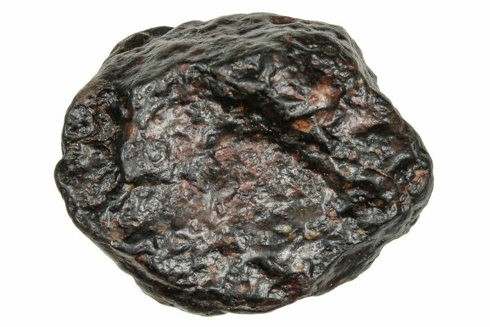 Chondrite Meteorite ( g) - NWA #334364